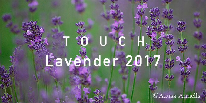 TOUCH Lavender2017