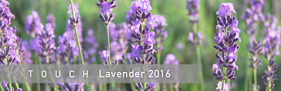 TOUCH Lavender2016